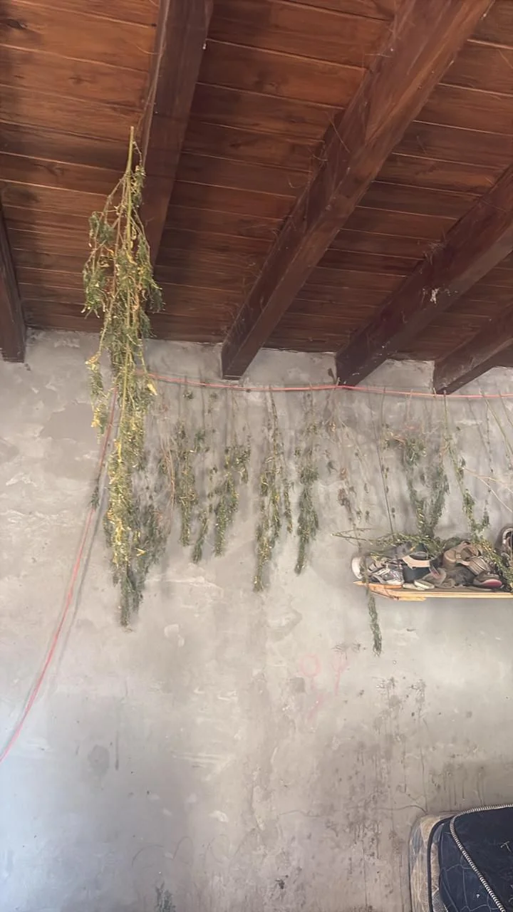 73d8c383-b750-4f7b-a6c1-2c9f73596d8b