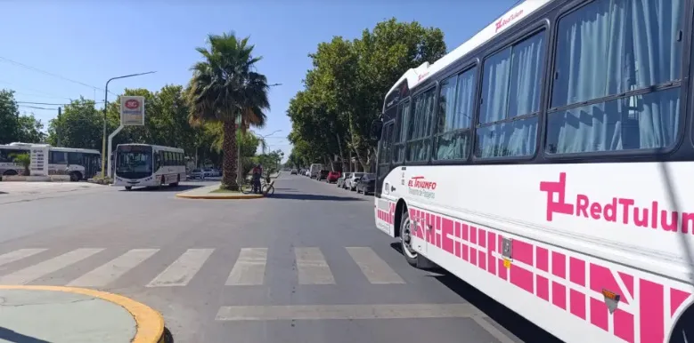 COLECTIVO