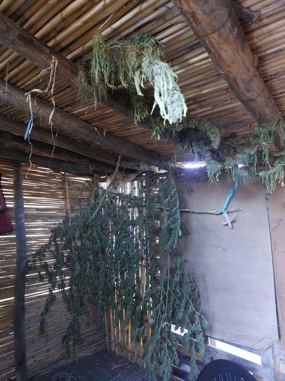 36cd5b72-28d1-4796-b8f9-04e740fee2d2