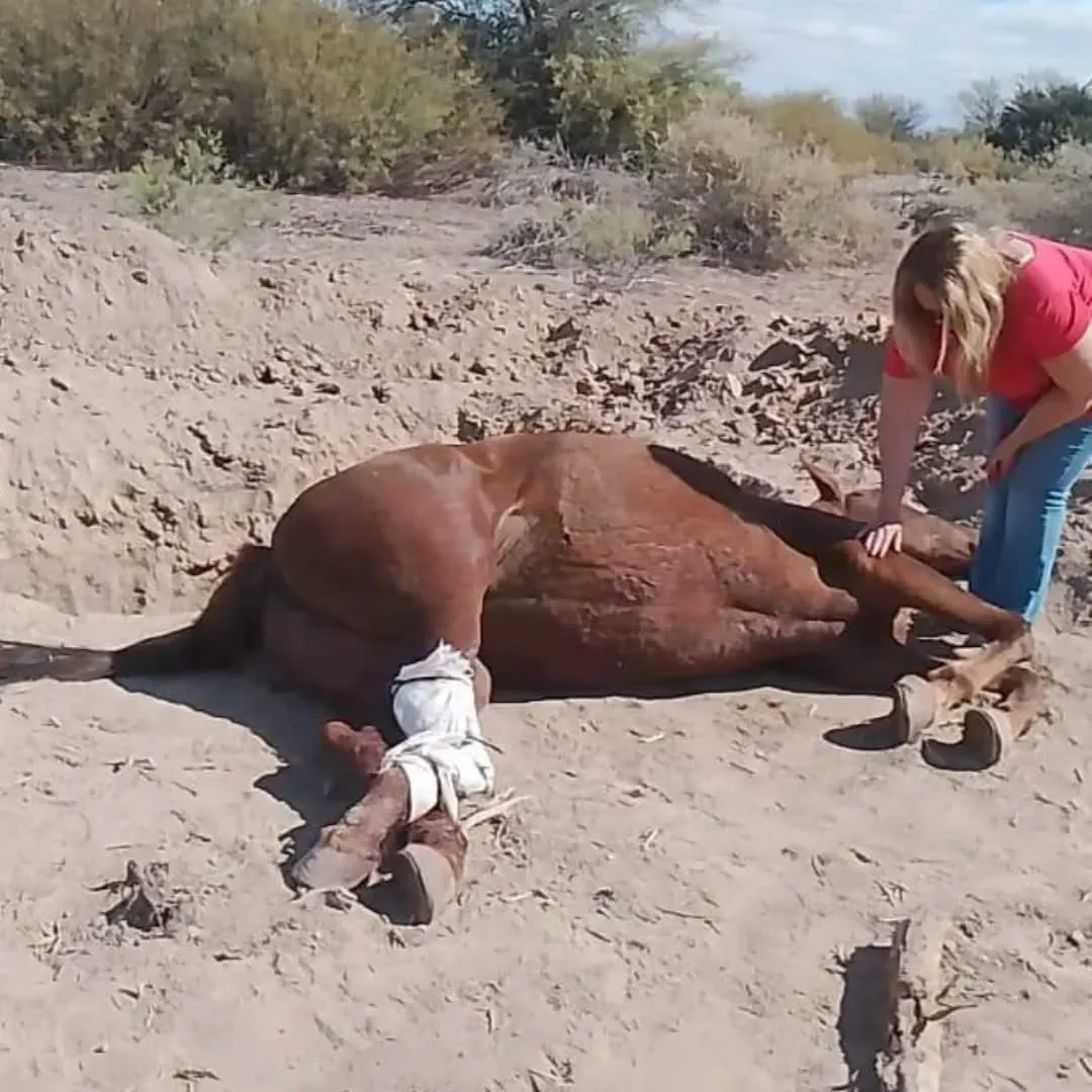 c7bc6ca4-521e-4785-a310-218721317ccc