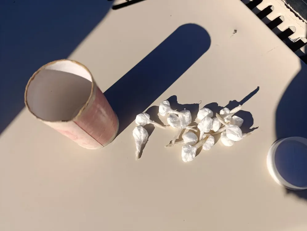 1a4fa838-8fc8-4673-8844-0e65b9afa7df