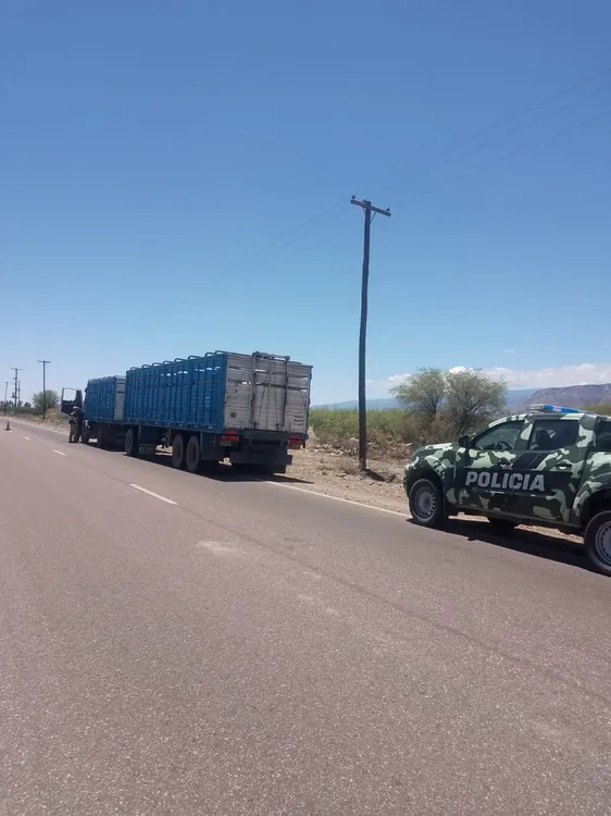 0f744077-858d-4f79-a58e-f1ef974e4b7e