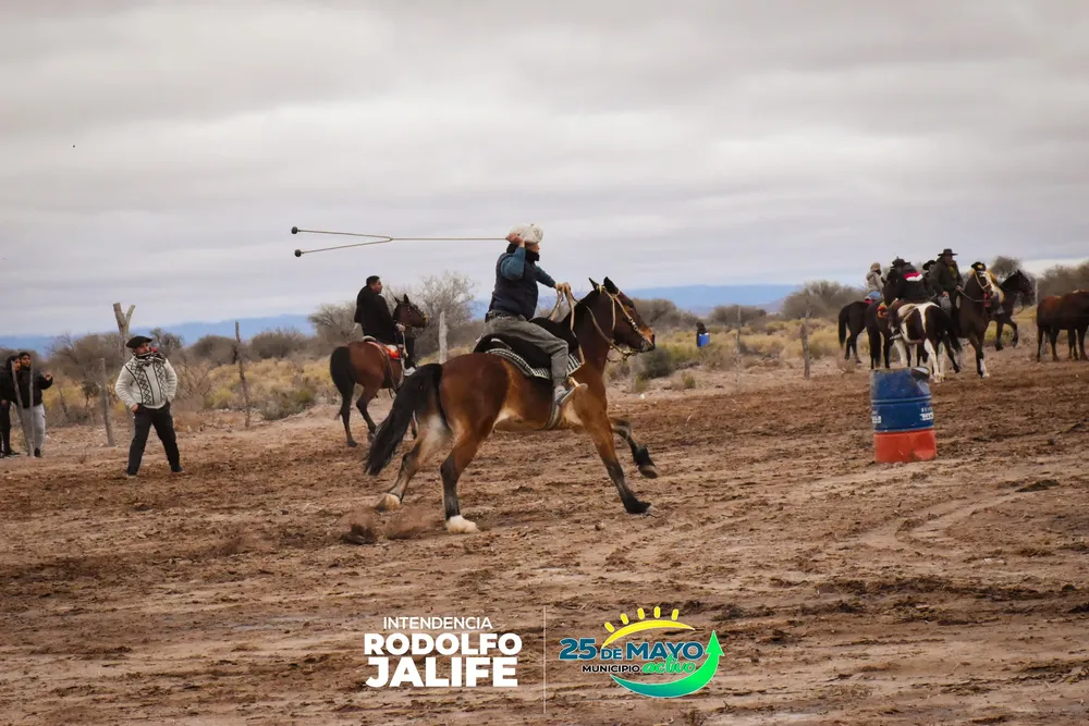 524586133_1154757263364132_672703833291105736_n - copia