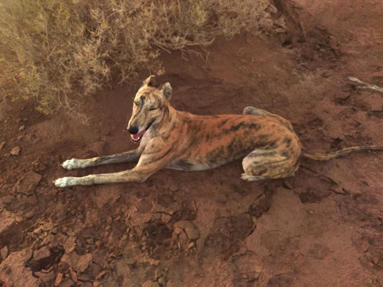 c03c27df78c78c5343422ed96142e0bd_L