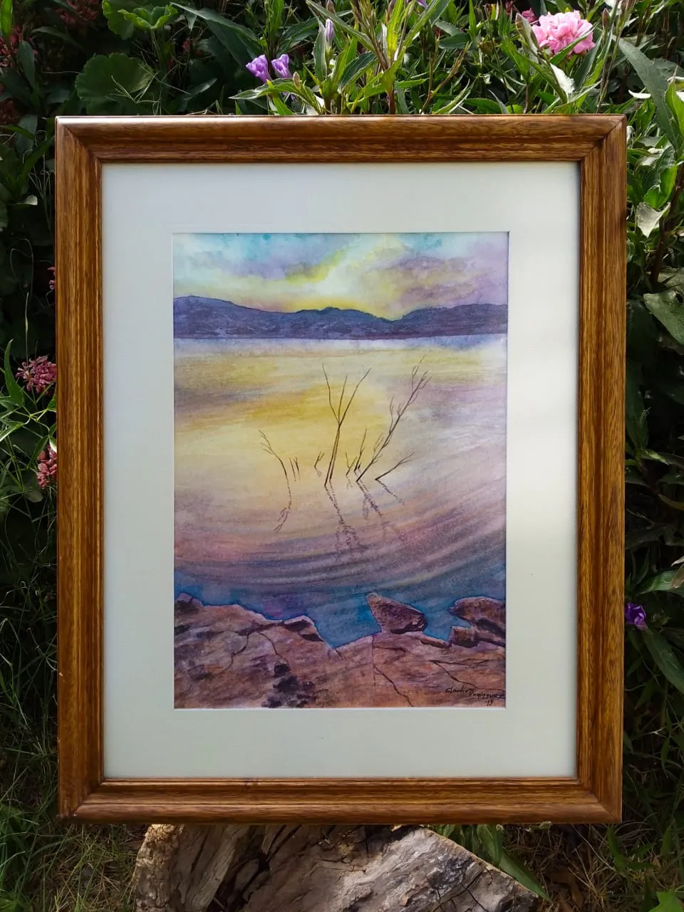 397370b7-fa66-46ca-a541-868a77c8f91d