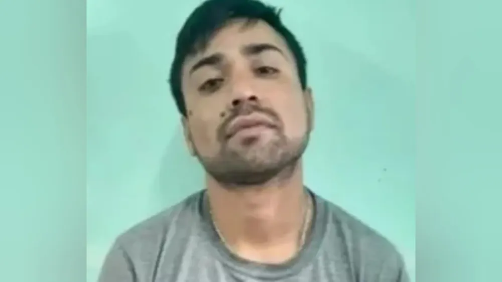 InShot_20241230_121217580