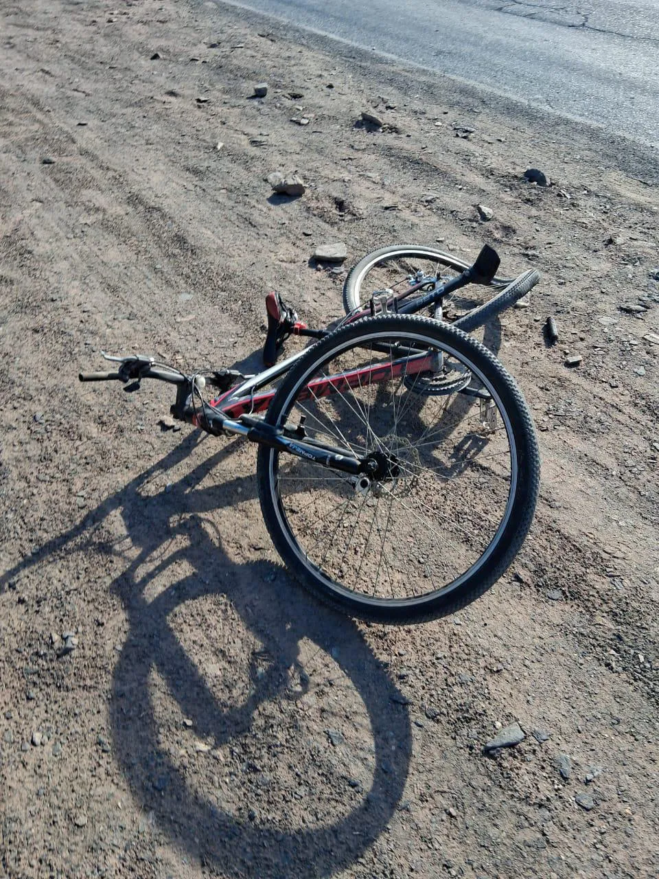 bea5ab93-6f2c-41af-8130-19771f99d521