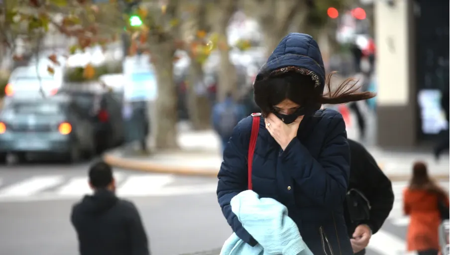 frio