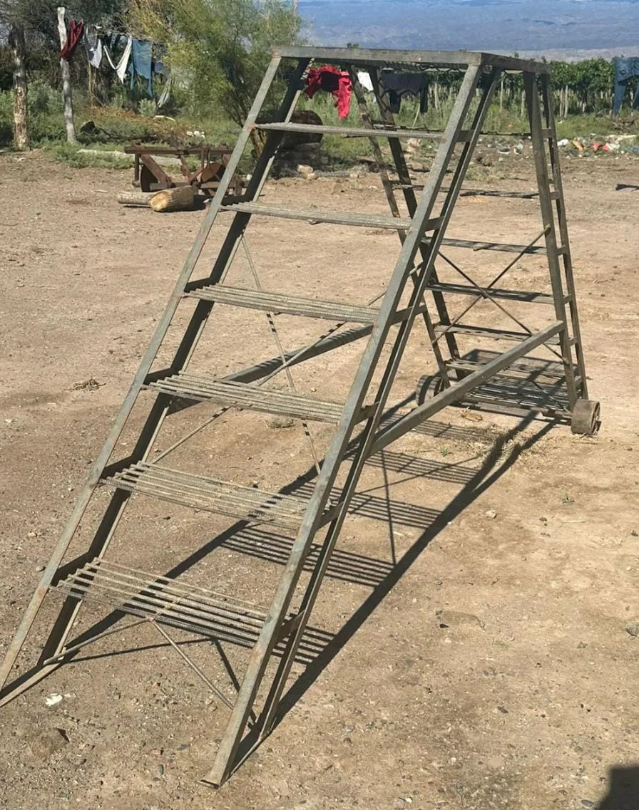 fcaae19d-7279-450f-88e7-af72f4fbb90f