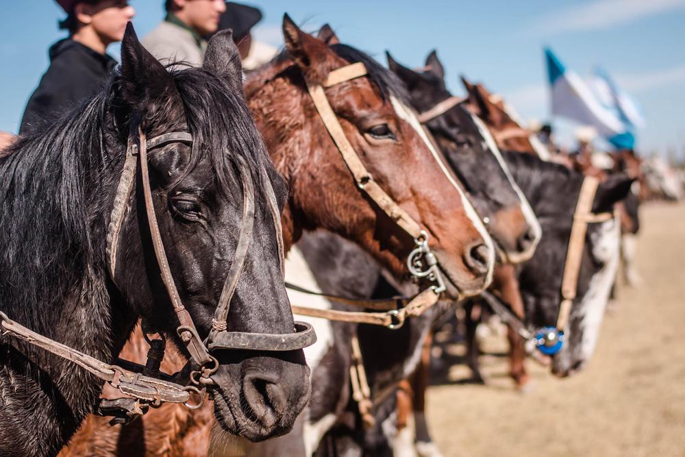 440091161_753298170318083_4126491660824292433_n