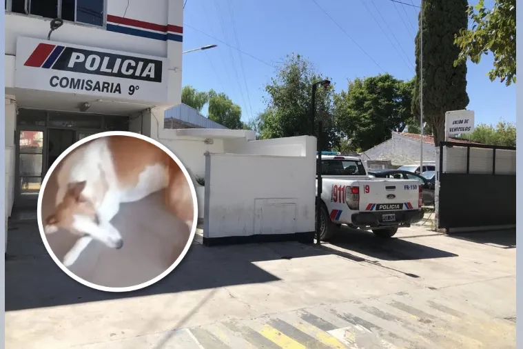 082B2018-BFB2-49FC-B59B-11F98518DCBD