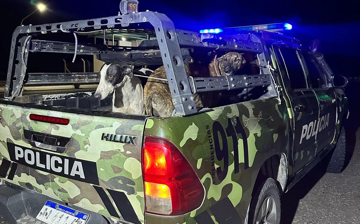 f15ab659-c58b-4656-b5d2-9b89b14c85dc