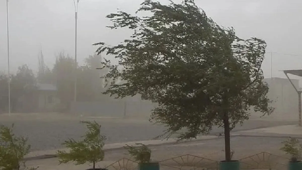 Alerta por un fuerte viento Sur que bajará la temperatura en San Juan