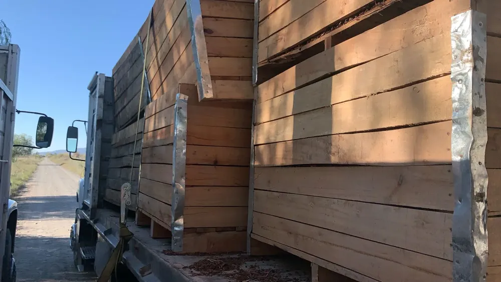 abbceec1-b942-4439-9665-f2633906cac8