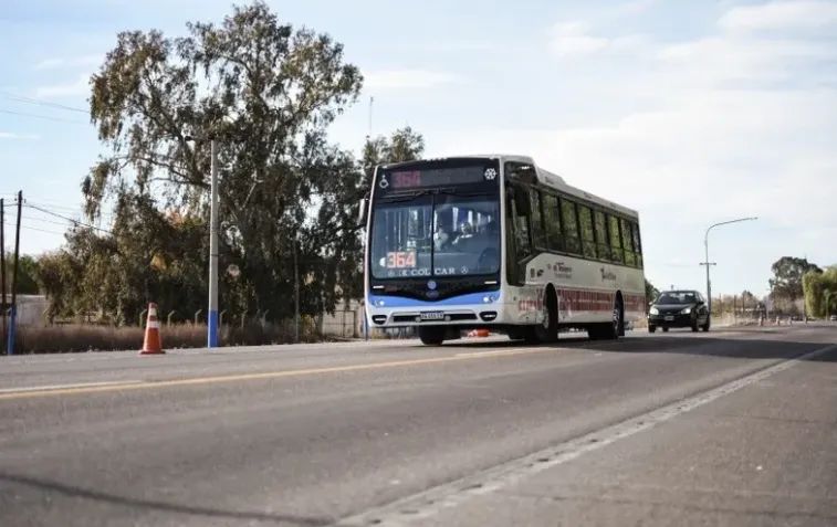 colectivo
