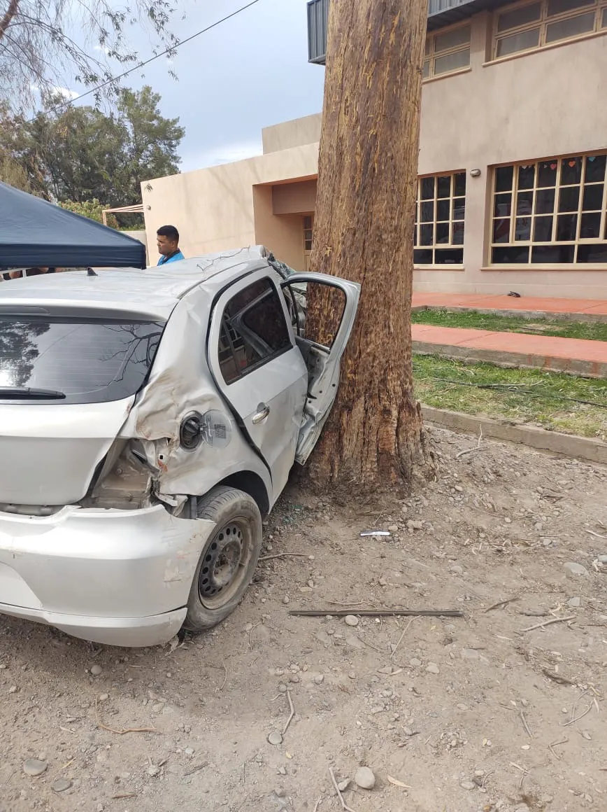 8bb377d5-c4e1-40ea-b815-067aba520b1e