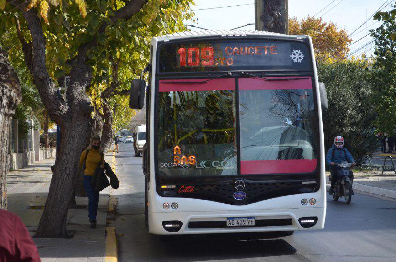 colecasfcasc