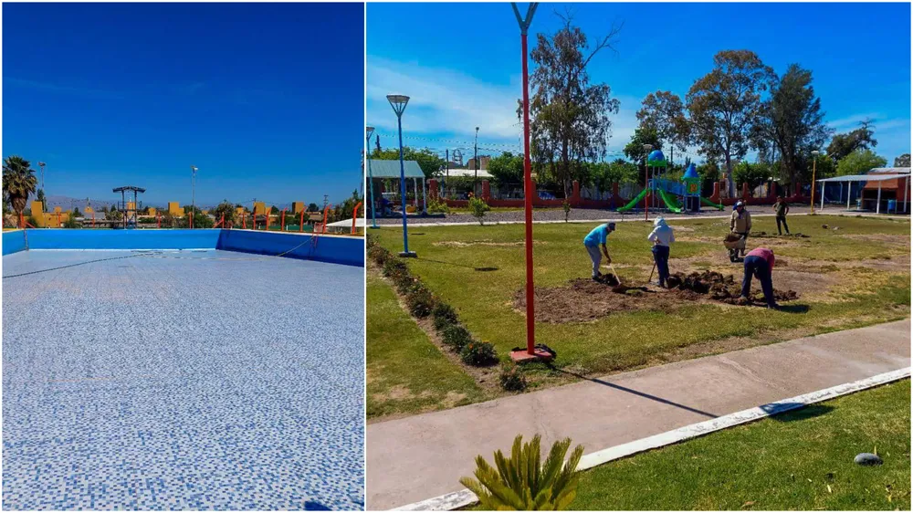 InShot_20241113_111522545