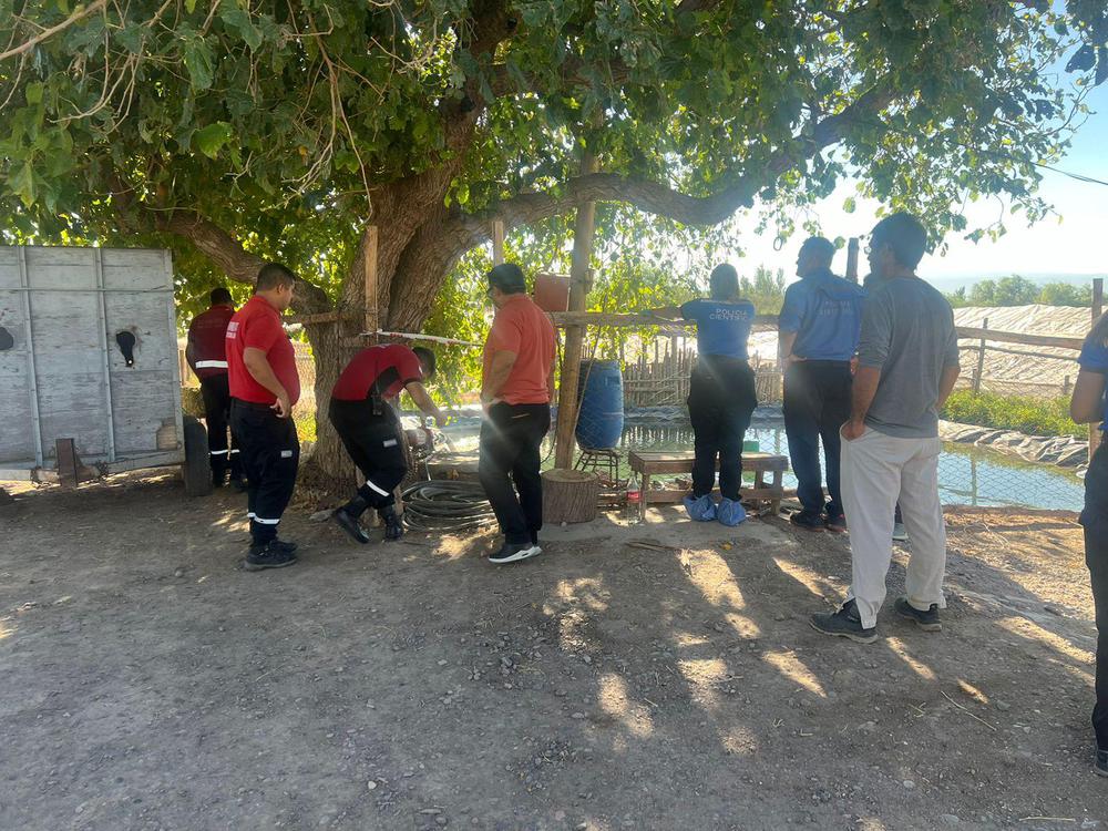 49d514be-36cc-4ef4-b236-a9473c99d1f9