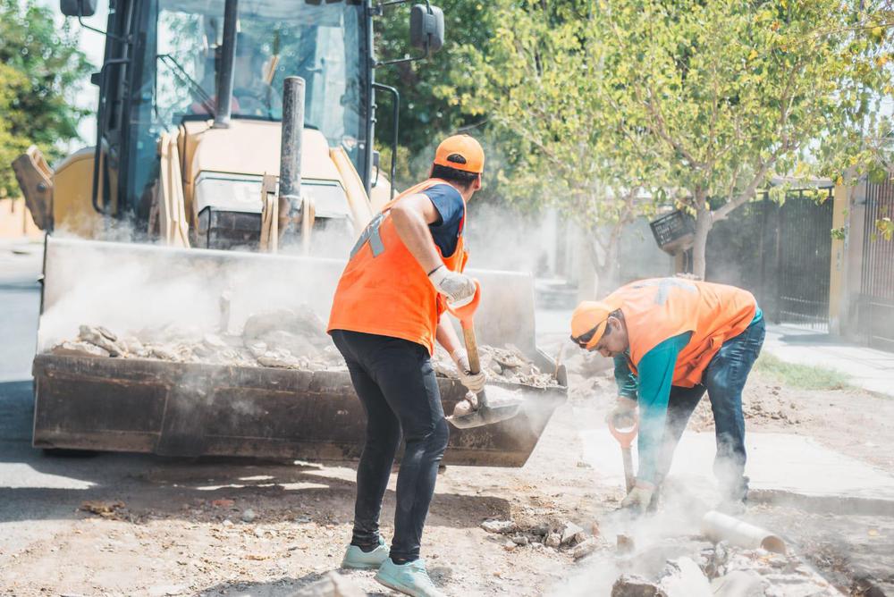 WhatsApp Image 2024-02-01 at 19.46.31