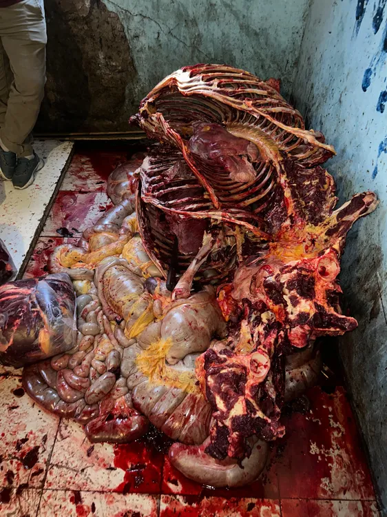 82178baf-629e-42bc-8abd-c0c0e809ed2a