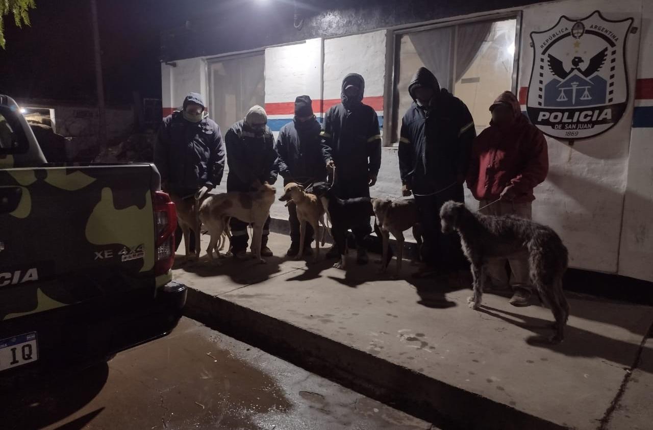 ae3fc3e3-d365-47e0-8e62-fa072b0e7acc