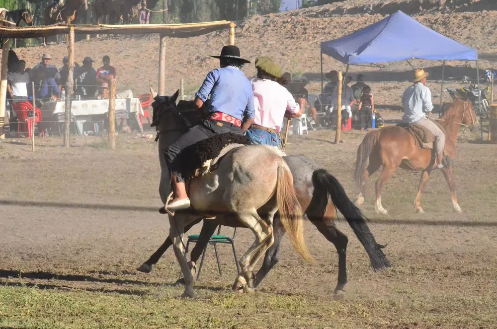 6abc4f8d-4710-4896-9a83-f125a2b52cfd