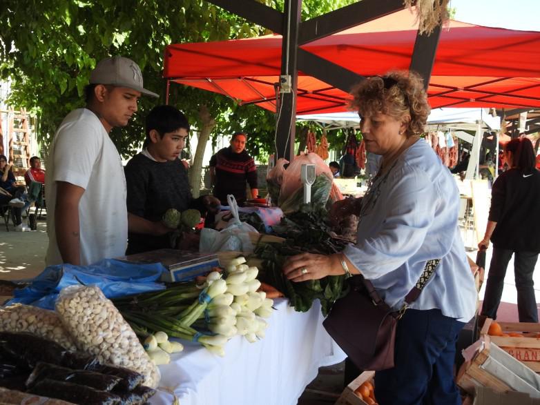 FERIA AGRO