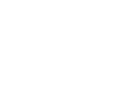 EL BASTÓN